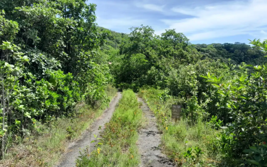 Land for Sale in Morne Beausejour
