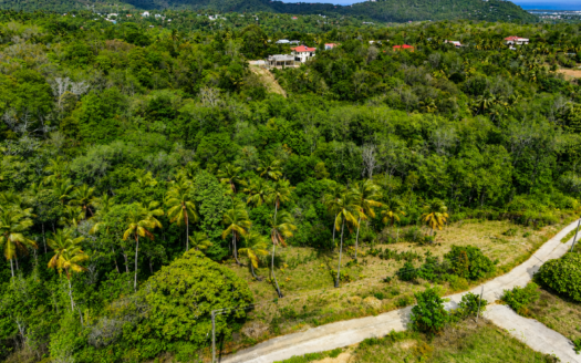 Prime Land for Sale – Aubrier, Vieux Fort, Saint Lucia