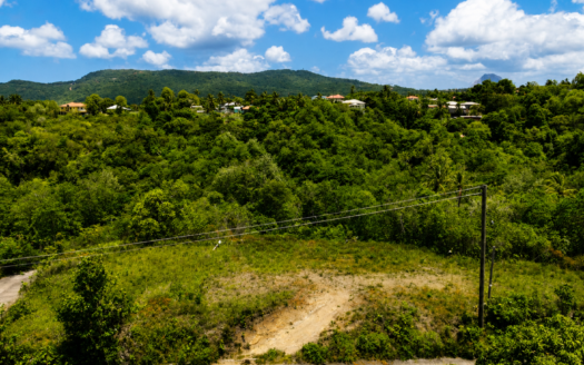 Residential Land For Sale: 8,023 Sq. Ft. Lot in Aubrier, Vieux Fort