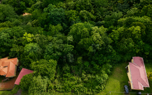 Residential Lots with Distant Sea Views for Sale – Monier, Gros Islet