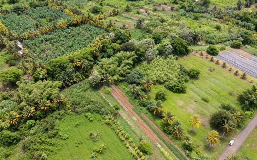 2 Acres of Flat Land for Sale in Roseau, Saint Lucia