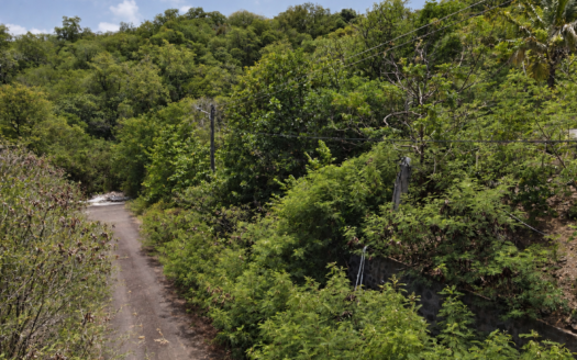 Land for Sale in South Hills, Cap Estate – 13,788 Sq. Ft. with Atlantic Ocean Views