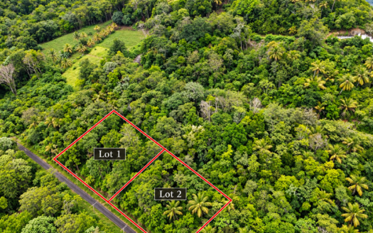 Land for Sale in Morne Le Blanc, Laborie, Saint Lucia – Two Residential Lots